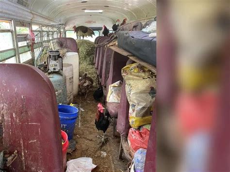 bestialty|Bus in Adams Co. found carrying animals used for alleged .